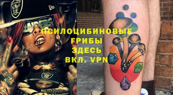 дмт Инта