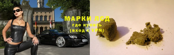 СК Инсар