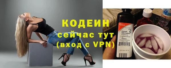 дмт Инта