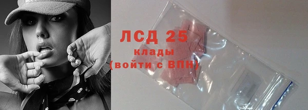 СК Инсар