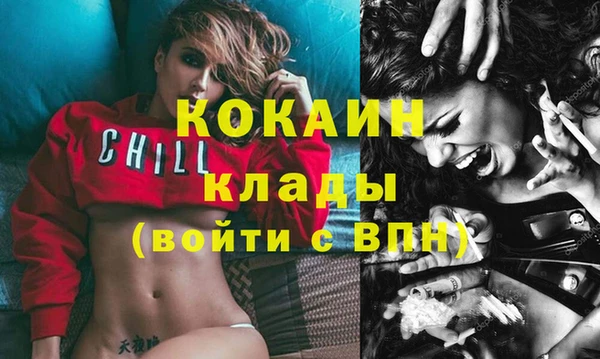 2c-b Чекалин