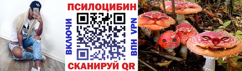 Псилоцибиновые грибы MAGIC MUSHROOMS  Купить  Покров 